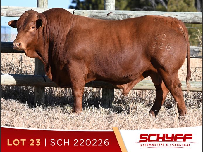 SCH 220226