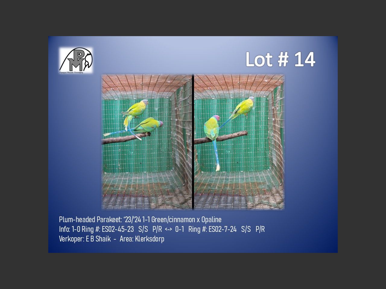 images