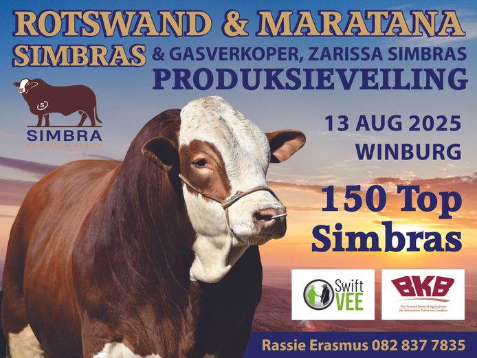 ROTSWAND EN MARATANA SIMBRA 27STE PRODUKSIEVEILING