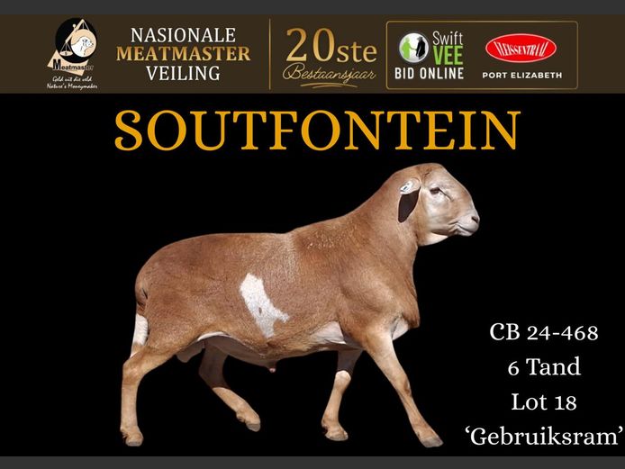 CB 24 468 | Soutfontein Meatmasters