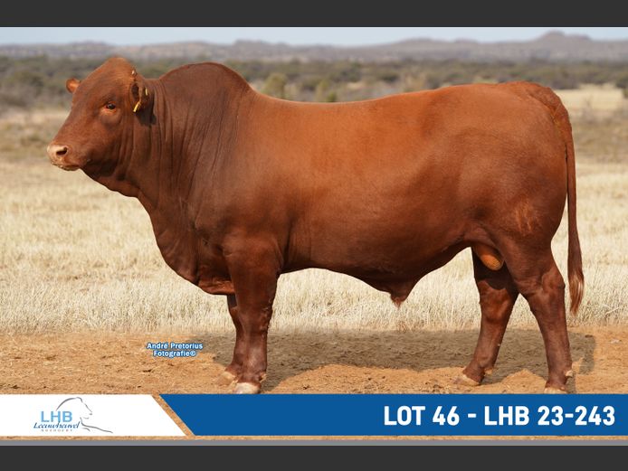 LHB230243 | LEEUHEUWEL BOERDERY (EDMS) BPK