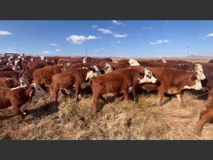 Weaners 