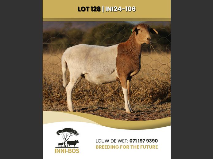 INI 24-106 | INI-BOS BOSVELDER