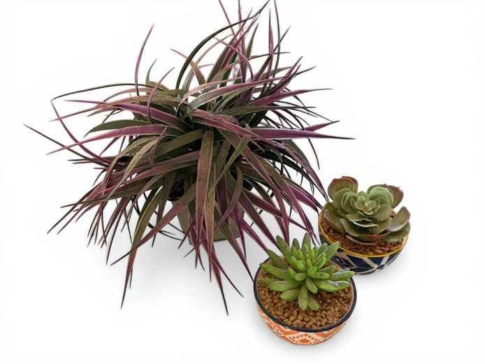Artificial Decorative Plant Set