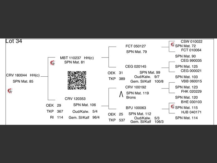 CRV 180044