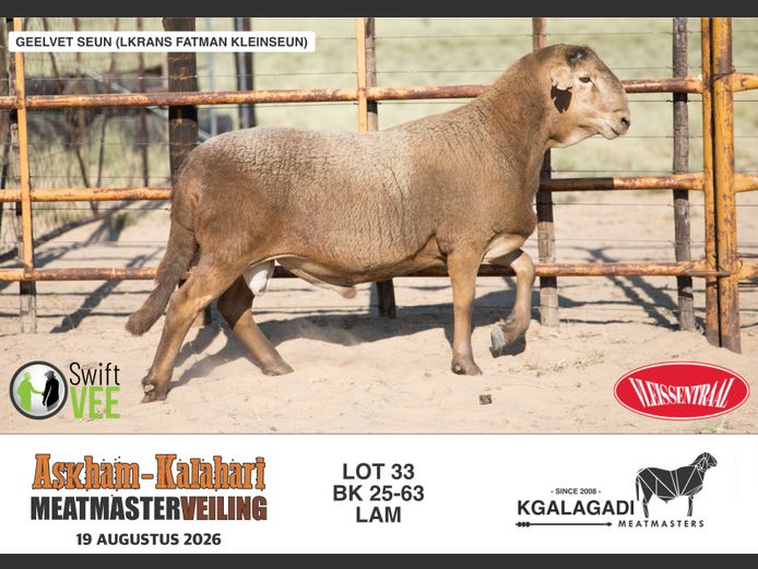 BK 25-63 | BARRI KNOETZE