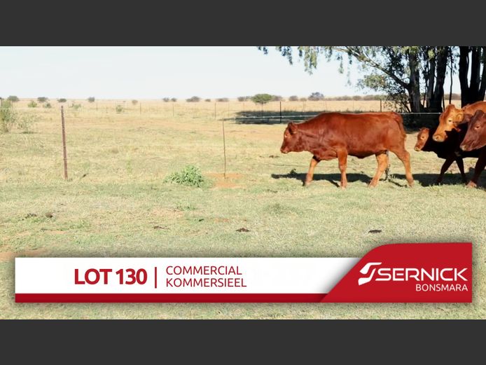 Commercial Animals