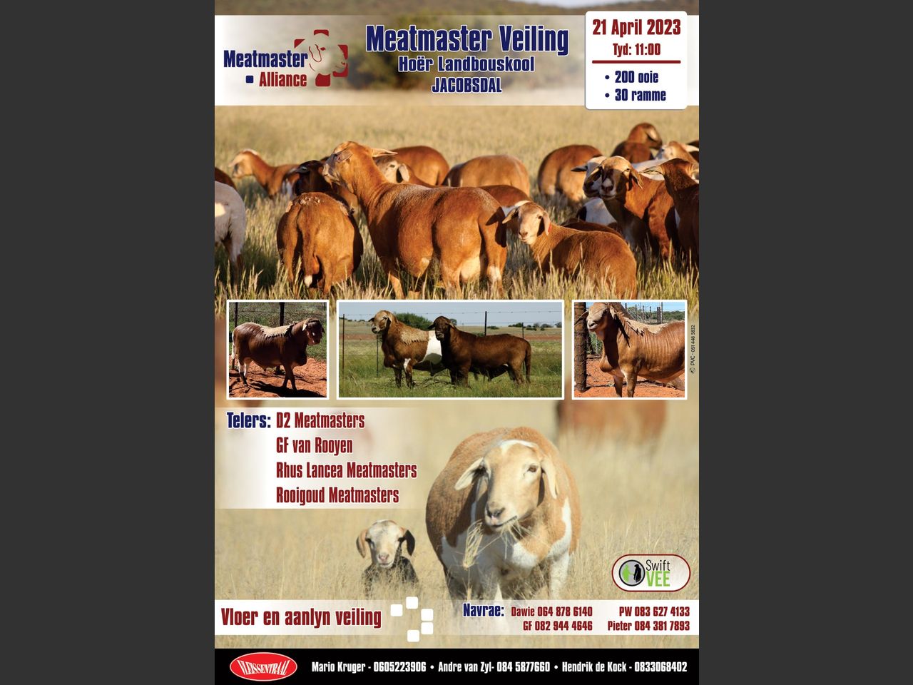 MEATMASTER ALLIANCE MEATMASTER VEILING | SwiftVEE | South Africa’s ...