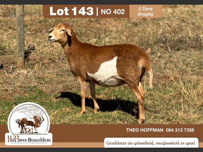 402 | HOFFMAN BOSVELDERS