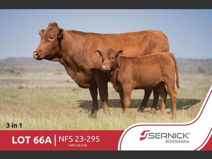 NFS 230295 | SERNICK BONSMARA STOET