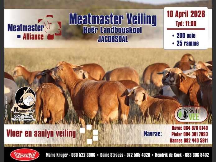 MEATMASTER ALLIANCE VEILING