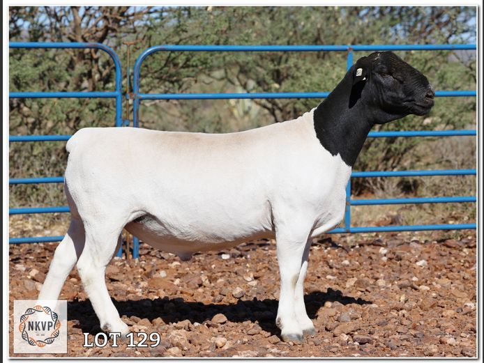 2052 24 0360 | LOUIS VAN RENSBURG, H/A LEEUPUT TRUST