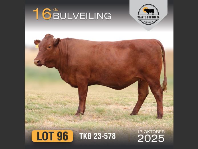 TKB 230578 | TIAN KRUGER BOERDERY PTY LTD