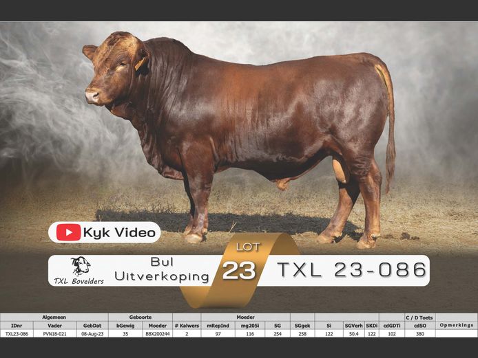 TXL23-086