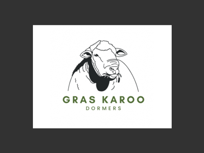 Commercial Animals | Gras Karoo