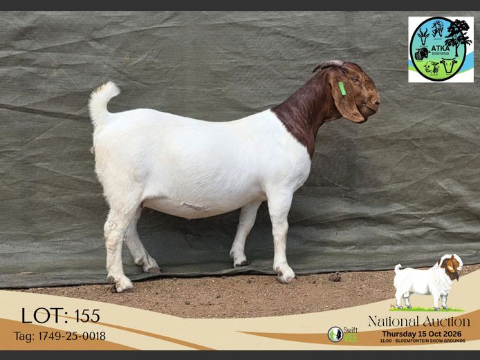 1749-25-0018 | ATKA Boerbokstoet