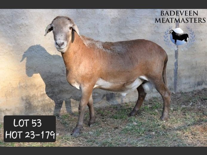 HOT 23-179 | Badeveen Meatmasters