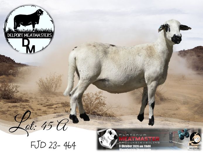 FJD 23-464 | Delport Boerdery