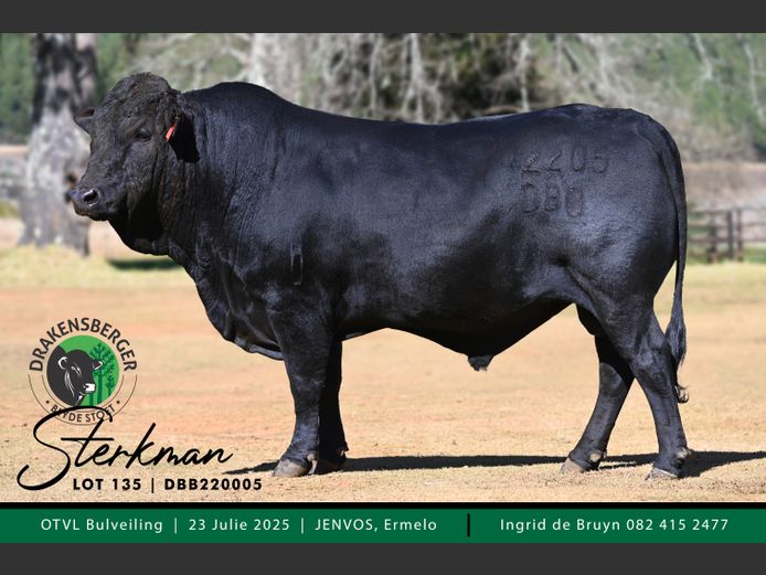 DBB 220005 | E.J.L. VAN DER MERWE