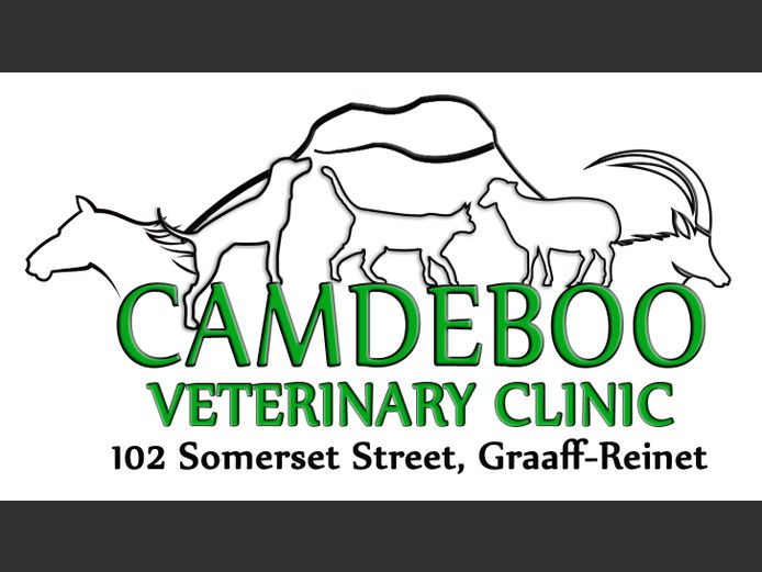 sterilization for dog or cat | Camdeboo Veterinary Clinic