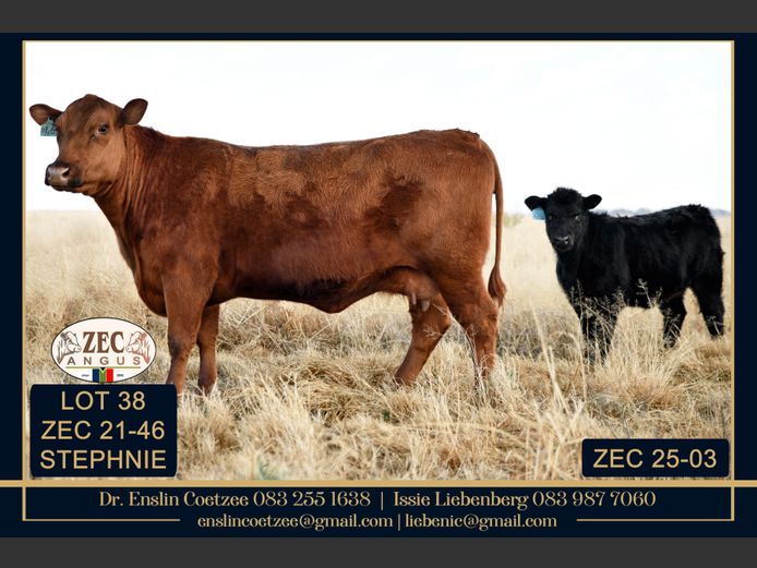 ZEC 210046 | Z.E. COETZEE