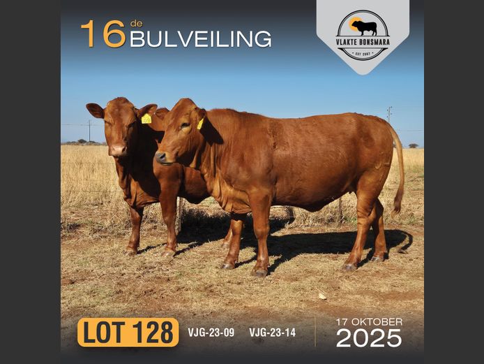 Commercial Animals | GEGUND BEES BOERDERY