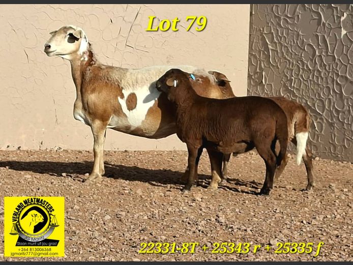 VERLAND MEATMASTERS | 22331