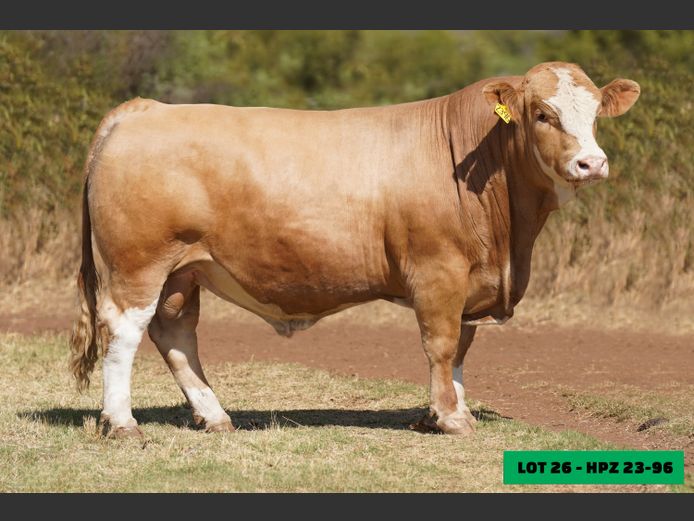 HPZ2396 | JP DU PREEZ BK