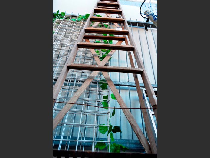 TALL WOODEN LADDER [1 Tread missing]