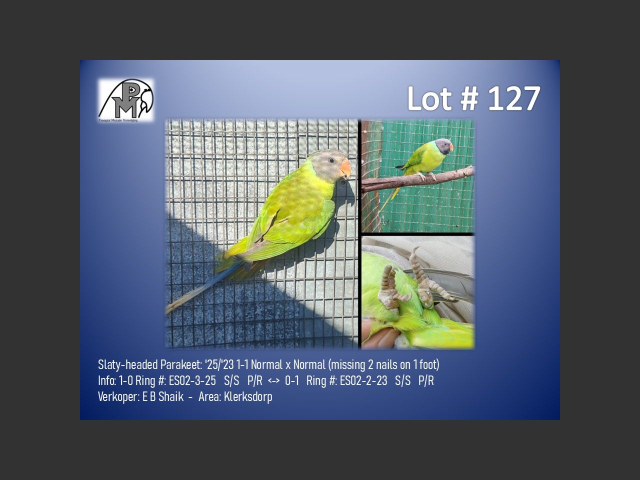 images