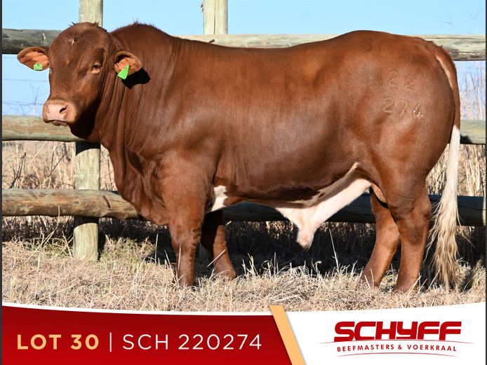 SCH 220274