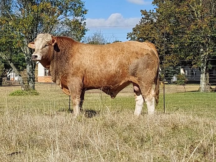 ZM2017 | ZIMEYER BOERDERY 