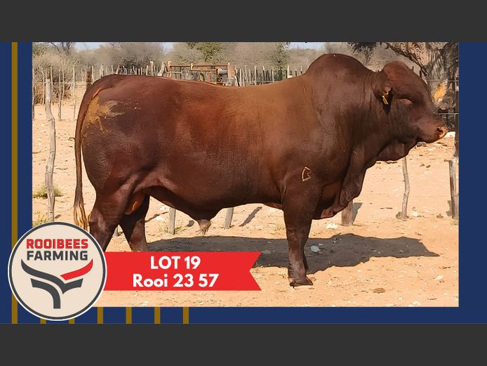 ROOI230057HH(c) | ROOIBEES FARMING PTY LTD
