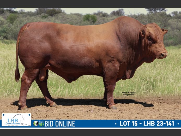 LHB 230141 | LEEUHEUWEL BOERDERY (EDMS) BPK