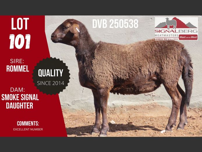 DVB 250538 | SIGNALBERG MEATMASTERS