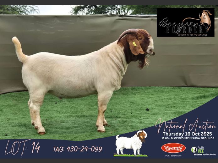 430-24-099 | Hein Booysen (Booysen Boerdery)
