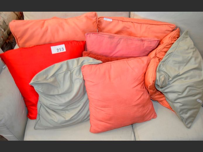 LOT: SCATTER CUSHIONS