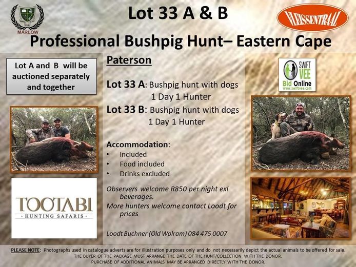 Professional Bushpig Hunt– Eastern Cape