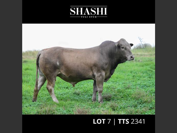 TTS 230041