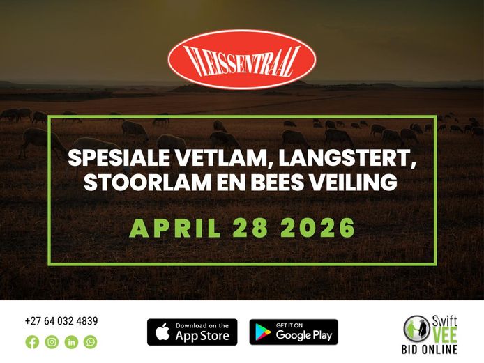 SPESIALE VETLAM, LANGSTERT, STOORLAM EN BEES VEILING