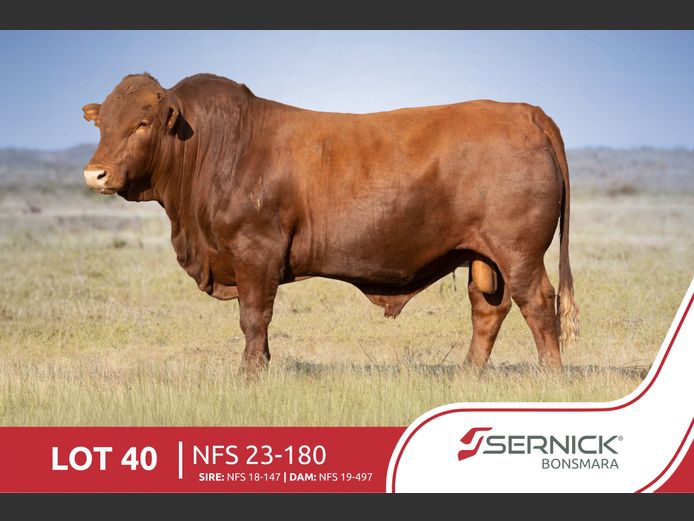 NFS 230180 | SERNICK BONSMARA STOET