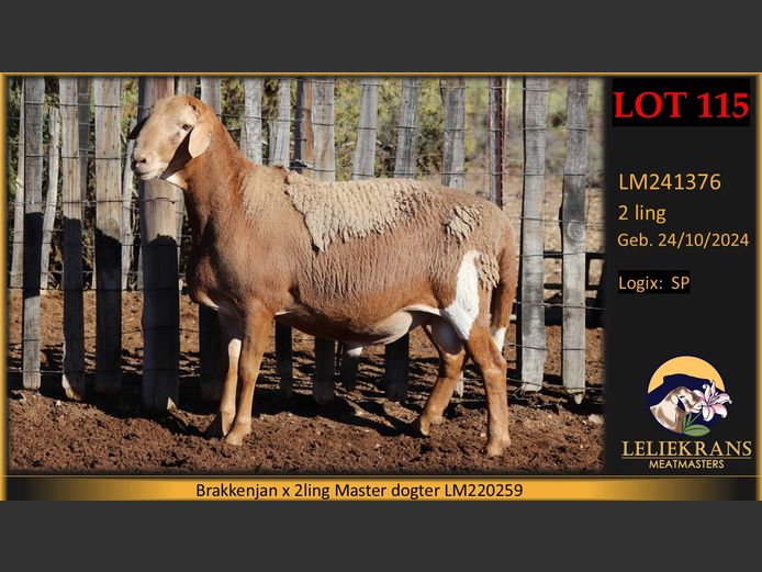 LM241376 | LELIEKRANS MEATMASTERS