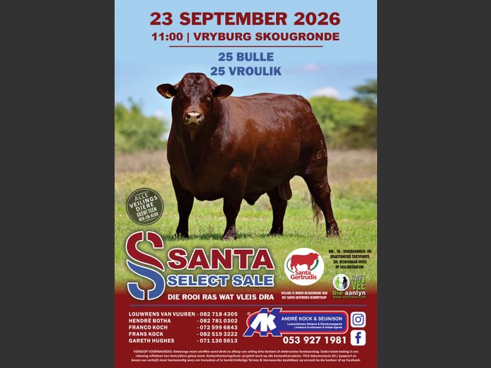 SANTA SELECT SALE
