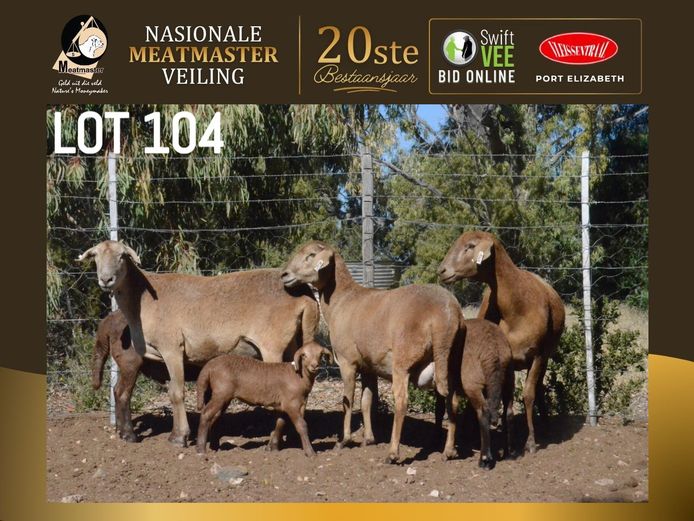 PB 24 68 | Pienaarspan Meatmasters