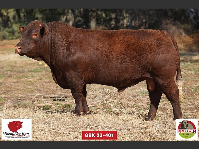 GBK 230401 | G.B. KEYSER