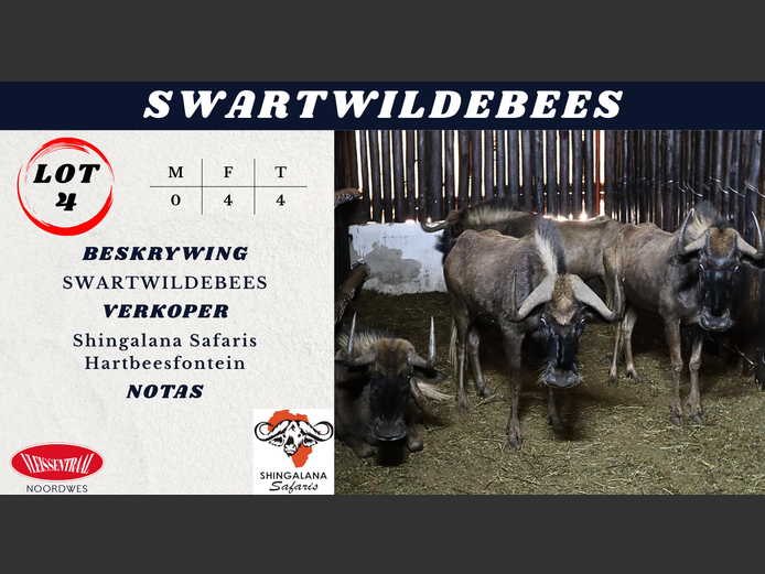 SWARTWILDEBEES