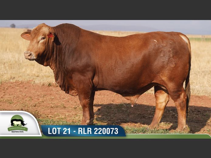 RLR 220073 | RHENOSTERVALLEI