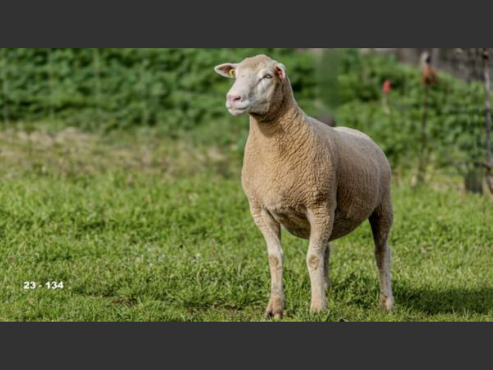 JT 230134 | REMKUIL BOERDERY (EDMS) BPK