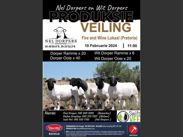 NEL DORPERS EN WIT DORPERS PRODUKSIEVEILING