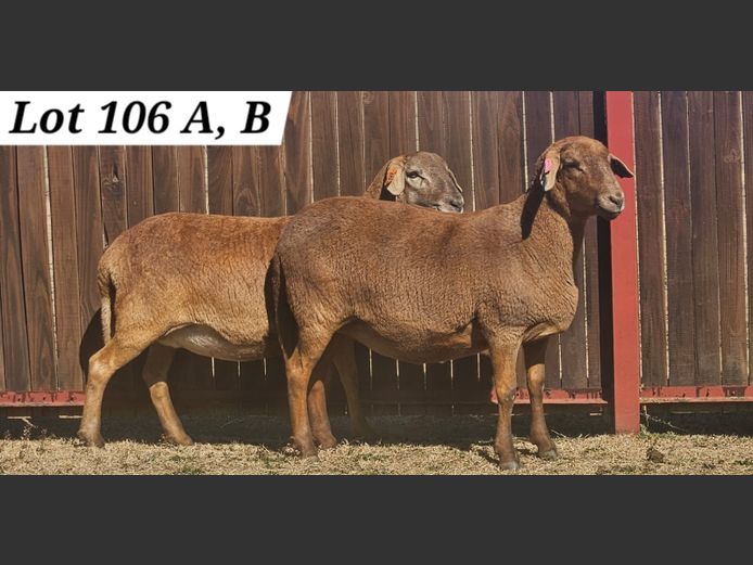 KI 230292 | J.J. STEYN